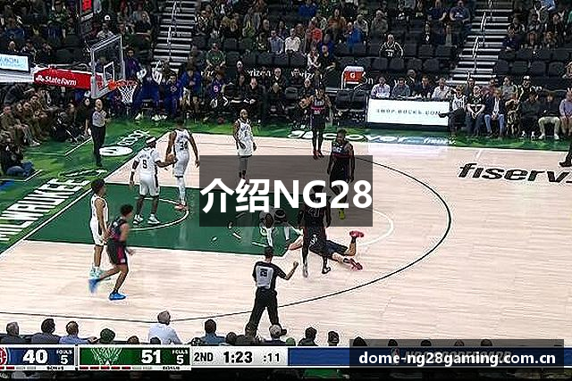 介绍NG28